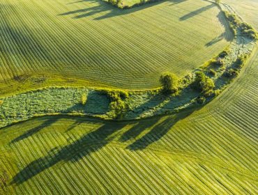Stunning surface textures of velvet green farm field, aerial view.