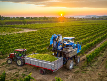 tractor-harvest-sunset